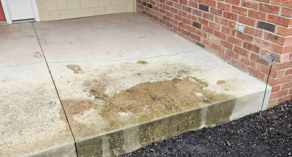 Before and after Deck & Fence