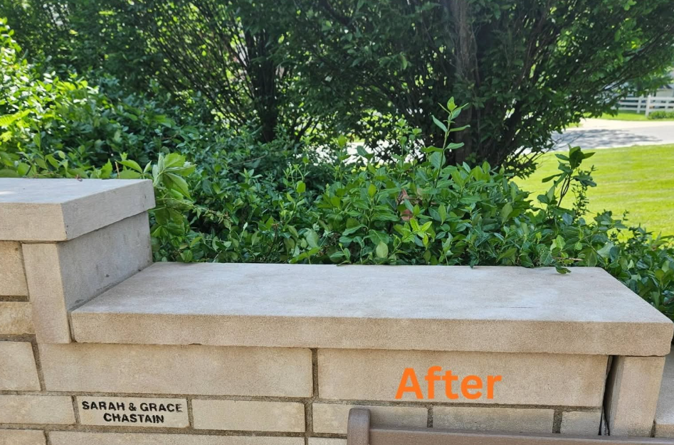 Before and after Gutter Cleaning
